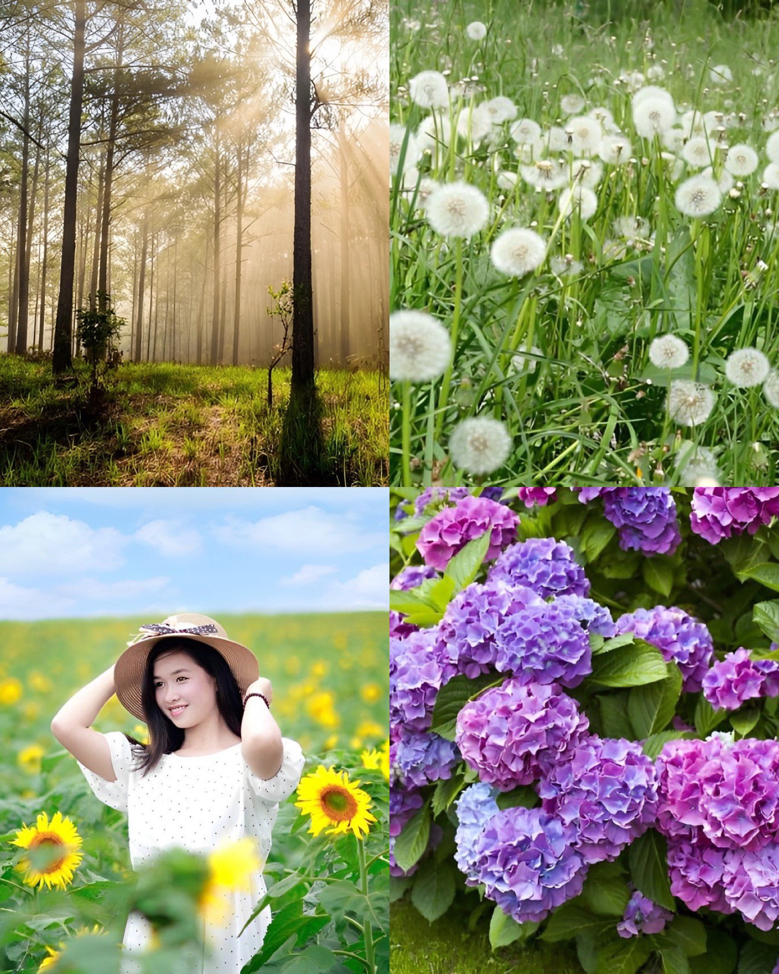 Đà Lạt tháng 5 đến tháng 9 Đà Lạt tháng 5 đến tháng 9