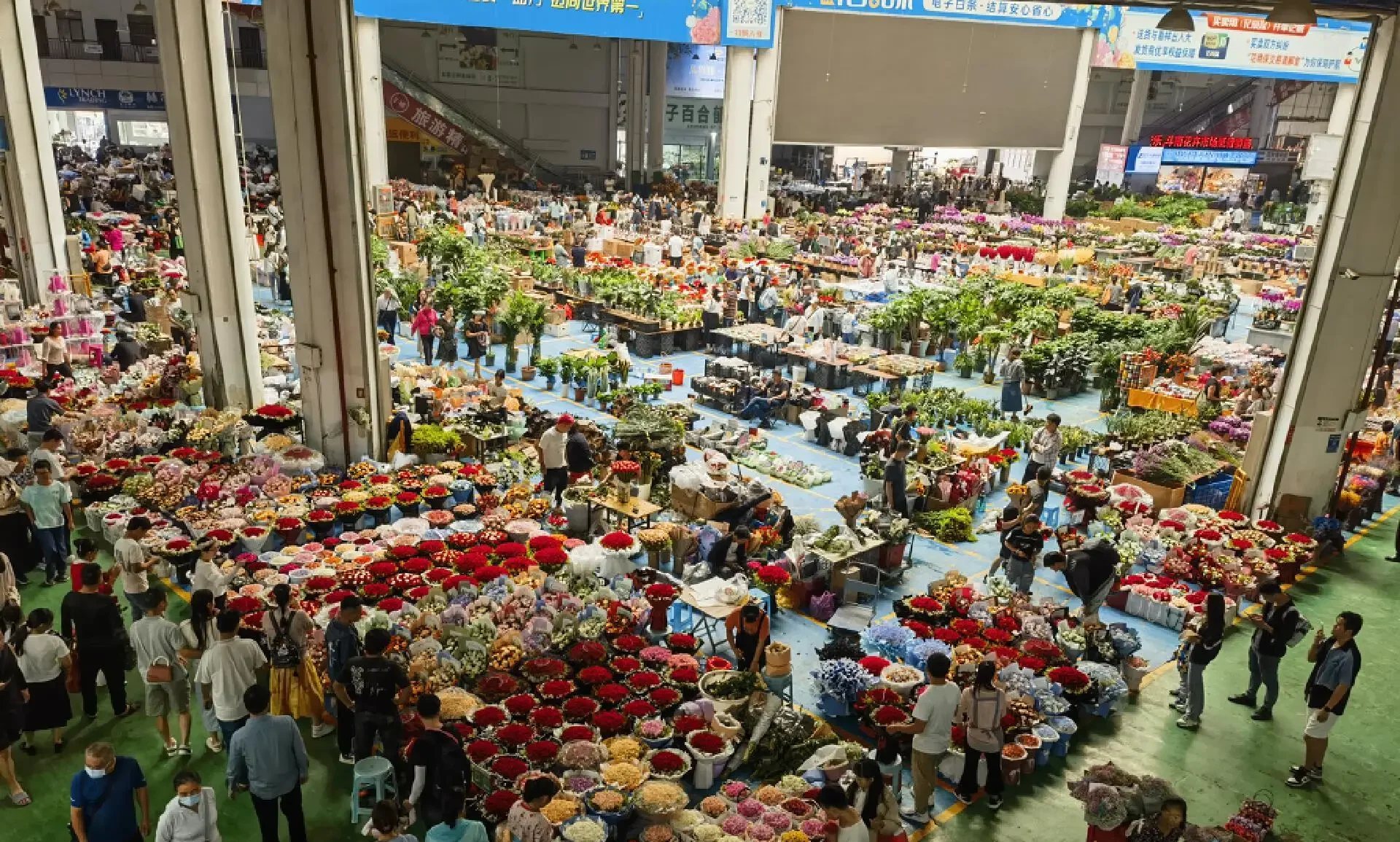 Chợ hoa Đấu Nam Chợ Hoa Lớn Nhất Châu Á